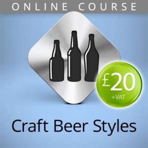 craft beer styles online course